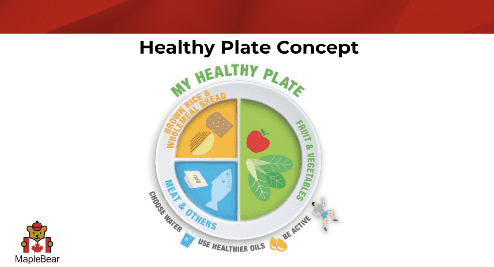 Healthy plate concept diagram